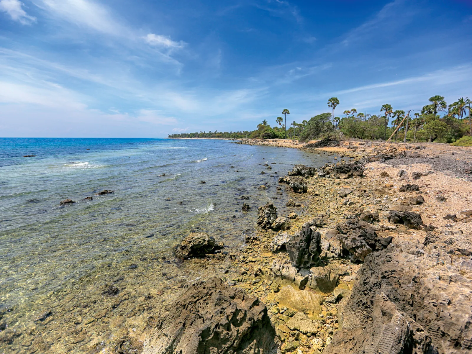 Wild ponies on the remote Delft Island off the coast of Jaffna