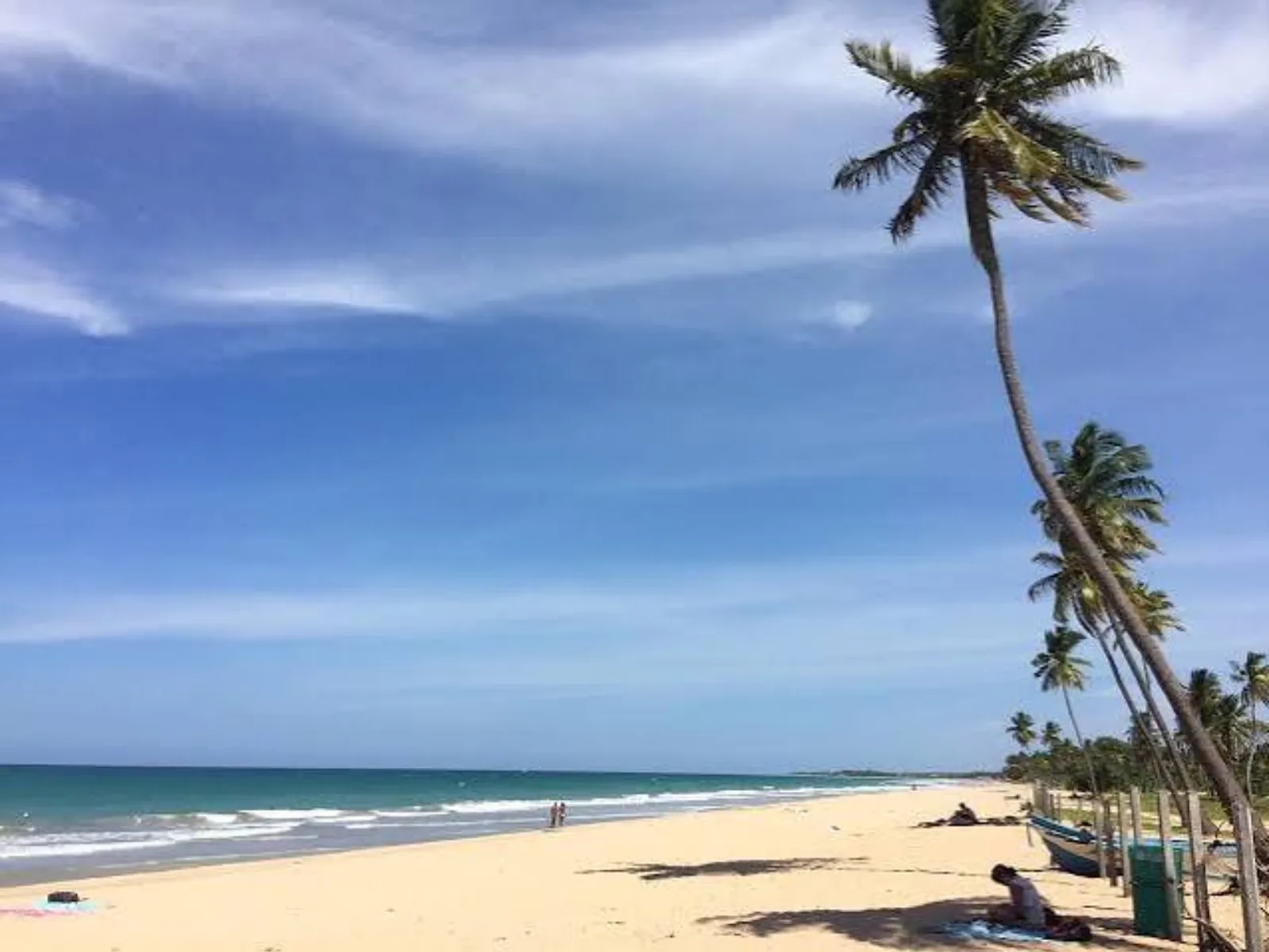 A quiet white-sand beach lined with tall leaning coconut palms at Nilaveli on Sri Lanka's northeast coast