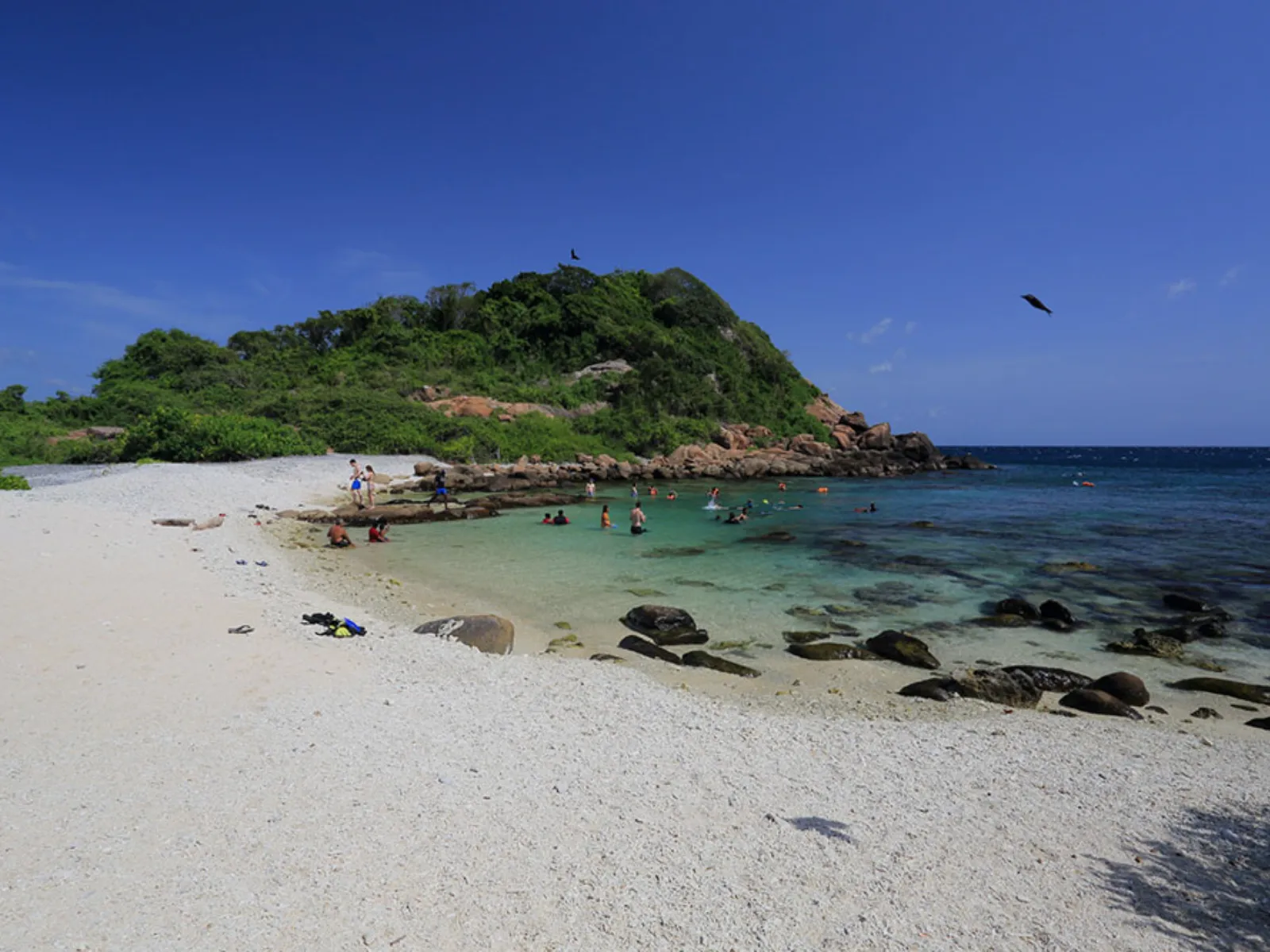 Coral reef and snorkellers at Pigeon Island National Park