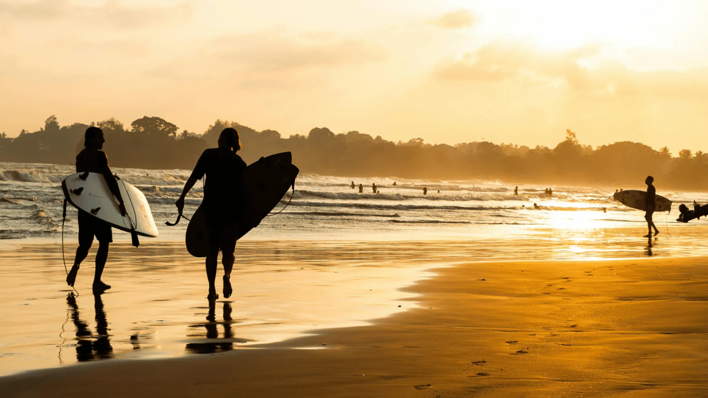 Silhouettes of surfers walking along the shore at golden sunset on a Sri Lankan beach